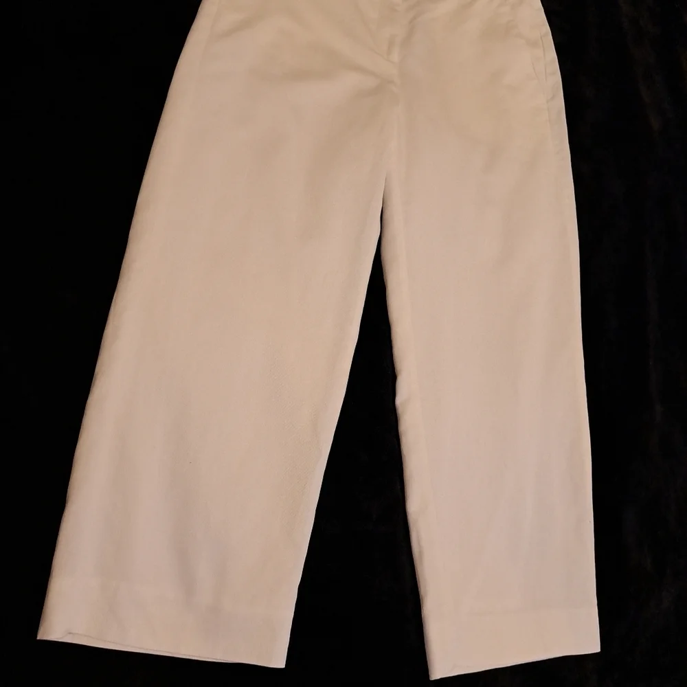 Banana Republic Cropped Pants Bone Sz 8 Cotton Linen Blend Lined EUC